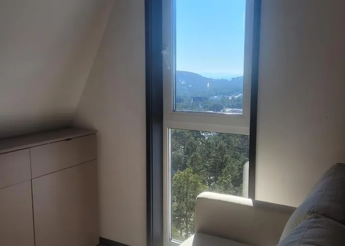 Premium Apartment2 * Divčibare